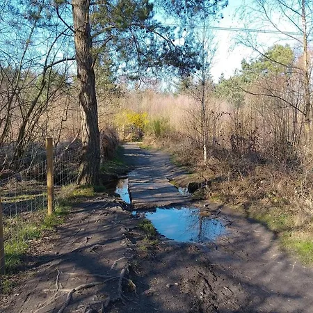 In Wiek Wiek auf Rügen